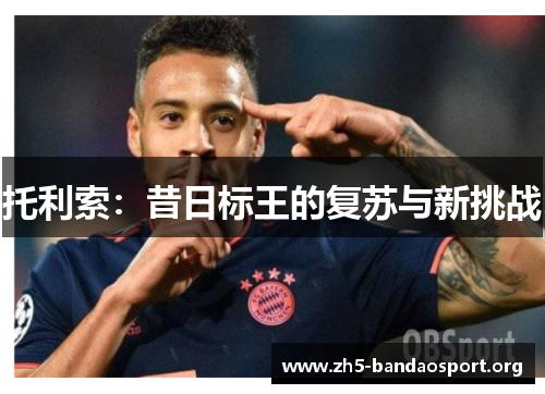 托利索:昔日标王的复苏与新挑战 托利索:昔日标王的复苏与新挑战