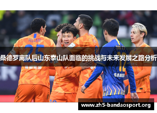 桑德罗离队后山东泰山队面临的挑战与未来发展之路分析 桑德罗离队后山东泰山队面临的挑战与未来发展之路分析