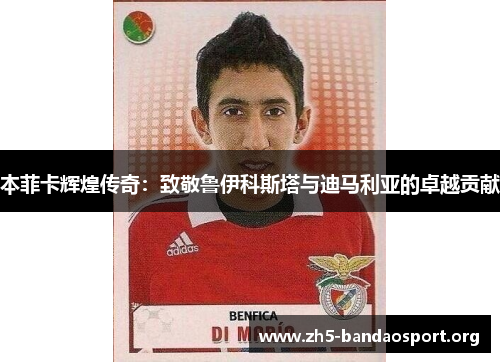 本菲卡辉煌传奇:致敬鲁伊科斯塔与迪马利亚的卓越贡献 本菲卡辉煌传奇:致敬鲁伊科斯塔与迪马利亚的卓越贡献