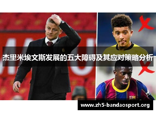 杰里米埃文斯发展的五大障碍及其应对策略分析 杰里米埃文斯发展的五大障碍及其应对策略分析