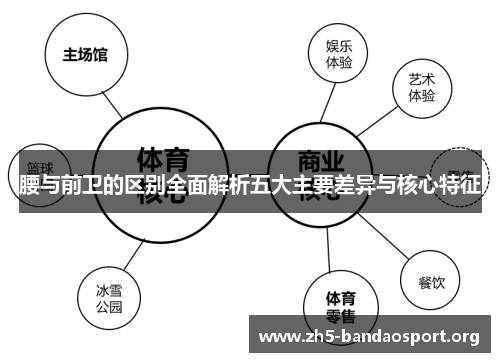 腰与前卫的区别全面解析五大主要差异与核心特征 腰与前卫的区别全面解析五大主要差异与核心特征